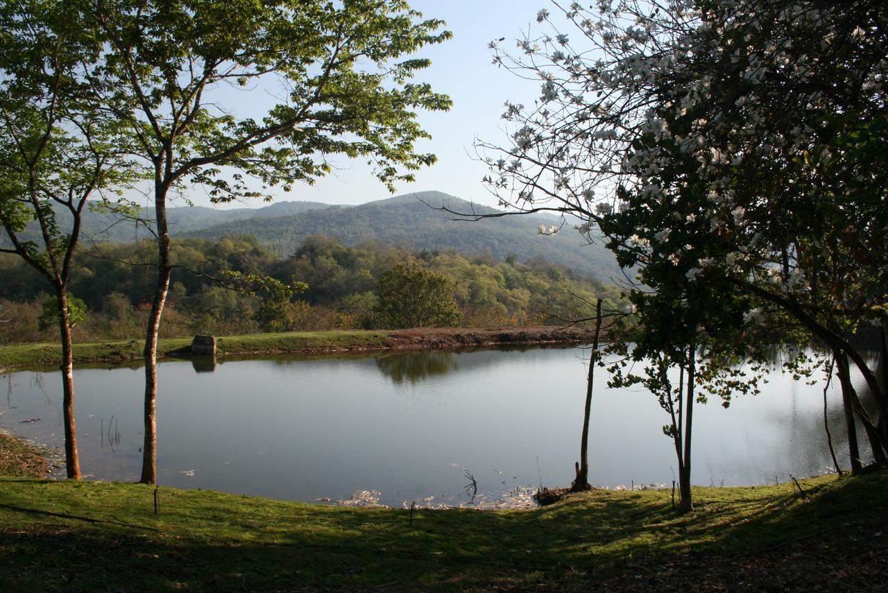 Mountain Creek Lodge Hazyview Kültér fotó